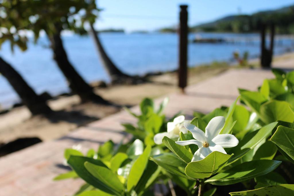 Fare Vai Nui Hotel Tevaitoa Esterno foto