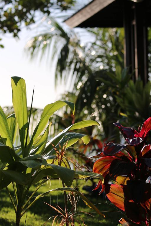 Fare Vai Nui Hotel Tevaitoa Esterno foto